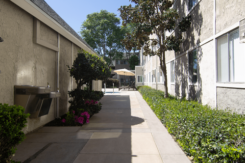 A long concrete walkway between two buildings with green plants on the side.